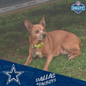 Meet your Posher, Suzy